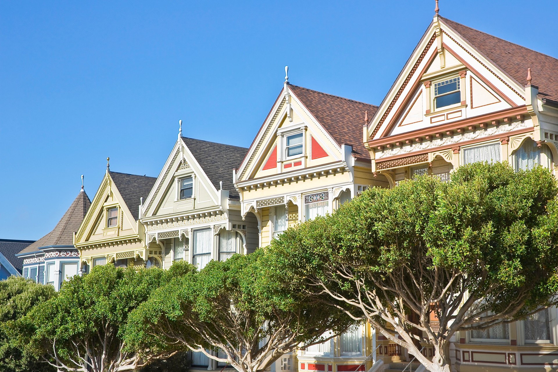The Painted Ladies; wooden houses in Victorian style on the outskirts near Alamo Square called the Seven Sisters Houses - San Francisco - California - USA